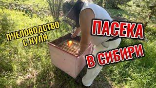 Пчеловодство с нуля. Пасека в Сибири