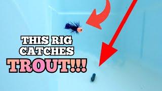 Fly Fishing With A Spinning Rod - The Drop Shot Fly Rig (You'll Catch Tons of TROUT!!!)