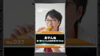 あやんぬ風動画のつくりかた＜インフルエンサー大図鑑＞