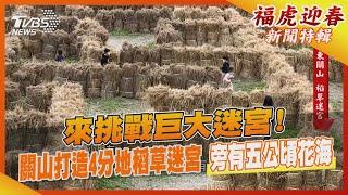 來挑戰巨大迷宮! 關山打造4分地稻草迷宮 旁有五公頃花海｜TVBS新聞