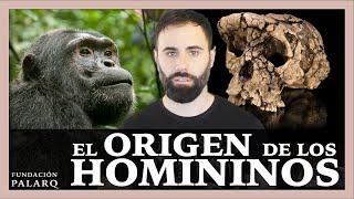 El Origen de los homininos | Los primeros representantes de nuestro linaje.