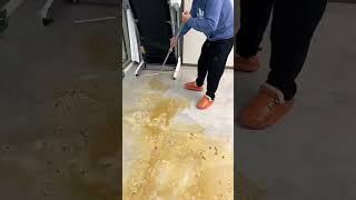 #magic broom #broom #magic broom sweeper #magic broom reviews #multifunction magic broom#viralvideo