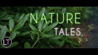 Nature Tales | Latent Talent - Music by Shankh Goswami