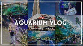 115. TORONTO's Ripley's AQUARIUM Tour | Under The Sea | Sea Creatures | Sharks, Whales + More