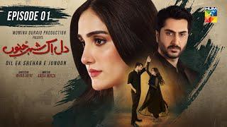 Dil Ek Shehar e Junoon - Episode 01 - 2nd December 2024 - [ Aiza Awan & Alee Hassan Shah ] - HUM TV