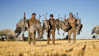 Sandhill Crane Hunting North Dakota (Catch Clean Cook)