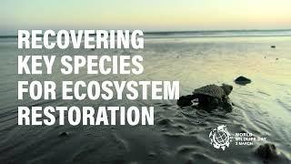 World Wildlife Day 2022 - Recovering key species for ecosystem restoration