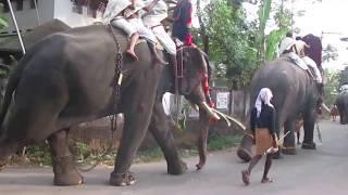 Kerala Tourism - ELEPHANT FESTIVAL - Chembottu nada Temple near Kottiyam, Kollam District, Kerala