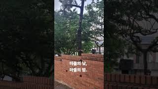 마을의 낮과 밤