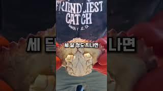 잔인한 인간의 무한 게 요리법