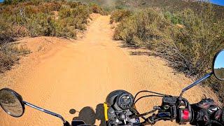 2024 Honda Trail 125 - POV Test Ride