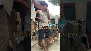 Petshops scammer in patna  | #vvlog #minivlog #shorts #dogs #patna #dogshortsvideo