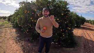 Orange Tour گزارش از فارم پرتغال