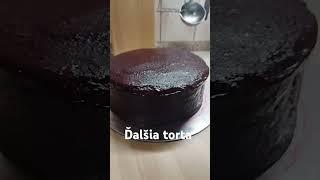 Ďalšia torta 