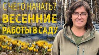 Весенние работы в саду. С чего начать?