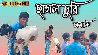 Chalaki Chhagol Chor | চালাকি ছাগল চোর | Bangla Funny Video | MSD Host