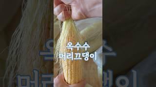 옥수수 머리끄댕이 #건강한식사 #저탄고지다이어트  #요리#먹방 #집밥 #다이어트식단 #자취요리 #레시피 #집밥