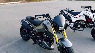 NEW GROM CLONE! ICEBEAR FUERZA with the squad