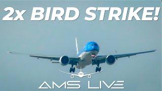 2x BIRD STRIKE | KLM B77W | KL792, Sao Paulo to Amsterdam