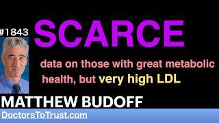 MATTHEW BUDOFF L4 | SCARCE data on those with great metabolic  health, but very high LDL