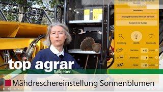 Sonnenblumenernte Teil 3 - Optimale Mähdreschereinstellung; feiffer consult