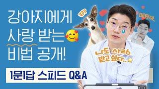 강아지한테 사랑받는 거, 그거 어떻게 하는건데  l 1문 1답 Q&A l 설채현 행동학 수의사