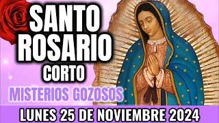 Santo Rosario Corto de hoy. Lunes 25 de Noviembre 2024 - Rosario Corto