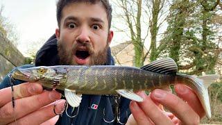 PIKE EAT PIKE?! Lure Fishing with an ULTRA-REALISTIC pike lure