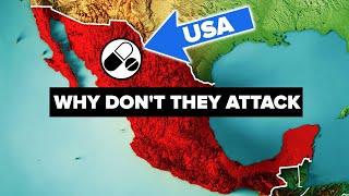 Mexican Cartels: What's Stopping the US Army From Attacking Them? COMPILATION