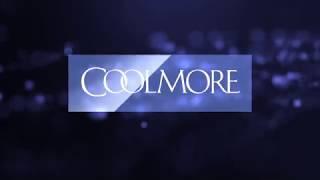 View Churchill at Coolmore Ireland