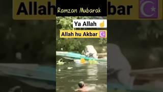 Islamic short video #namaz #dildar #trending