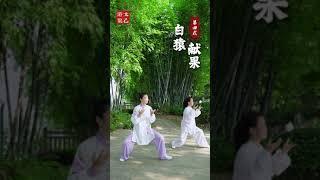 和师伯一起练拳啦太乙游龙拳110式来咯一起动起来吧#太乙游龙拳 #道家养生 #太极拳 #锻炼