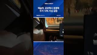 테슬라, 로보택시 호평에 주가 10% 이상 급등