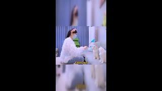 七宝的神秘力量：听懂了世界的另一种语言