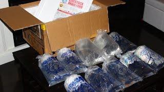 AQUARIUM FISH UNBOXING