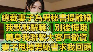 總裁妻子為男秘書提離婚，我默默辭職：別後悔哦，轉身我聯繫大客戶撤資，妻子甩掉男秘書求我回頭