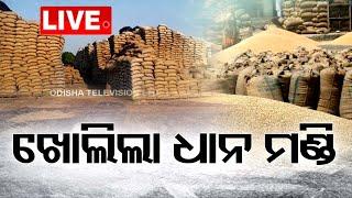 LIVE | ଖୋଲିଲା ଧାନ ମଣ୍ଡି | Paddy Procurement to begin in Odisha | Input Subsidy | OTV