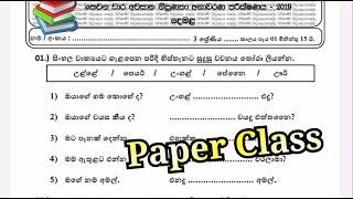 Tamil with Rishu. Scholarship paper & pass paper class for grade 3 students. දෙමළ paper.