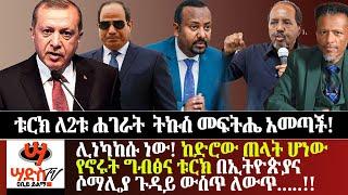 ቱርክ ለ2ቱ ሐገራት ትኩስ መፍትሔ አመጣች! ከድሮው ጠላት ሆነው የኖሩት ግብፅና ቱርክ በኢትዮጵያና ሶማሊያ ጉዳይ ውስጥ ለውጥ !!Abiy Yilma, ሳድስ ቲቪ