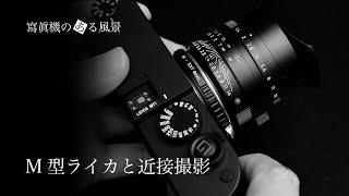 M型ライカと近接撮影 - 新型Summilux 35mmの発表から紐解く永遠の課題 -