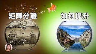 地球淨化，矩陣分離，我們該如何面對全球清理？| 二元對立 | 矩陣分離 | 如何提升自我 | 聽見高頻聲表示什麼。？