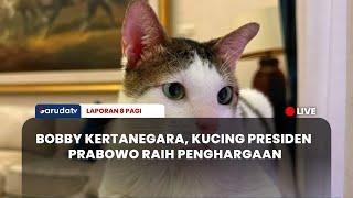 [ LAPORAN 8 PAGI ] BOBBY KERTANEGARA, KUCING PRESIDEN PRABOWO RAIH PENGHARGAAN