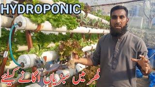 Hydroponic System by Dr. Sajid Iqbal Sandhu |Hydroponics farming, hindi/urdu, IR FARM