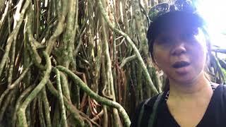 iCandy’s Kitchen And Her Random Adventure Vlog @UjungKulon Day 1 #randomadventure #opentrip #banten