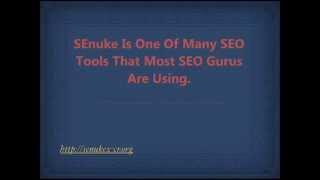 How Senuke Tutorial Help?