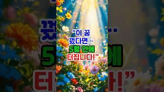 “이 꿈, 꿨다면 5월 안에 진짜 일 납니다” #운세 #띠별운세 #꿈해몽 #5월운세 #행운꿈