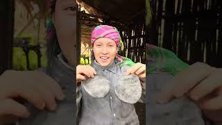 Trồng khoai,bẻ măng và ăn cơm trưa trên nương #vungcao #food #cogaidaodo