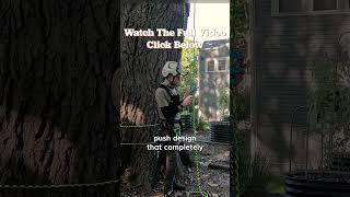 The Best Arborist Climbing Device? - TreeStuff Closer Look #shorts
