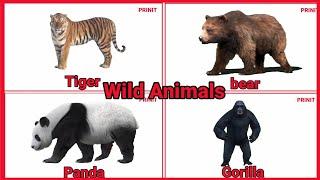 WILD ANIMALS | Learn Wild Animals Sounds and Names For Children / prinit