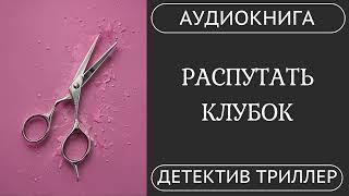 АУДИОКНИГА: Распутать клубок: Внутри благополучной семьи /// детектив, триллер  /// КНИГА 1